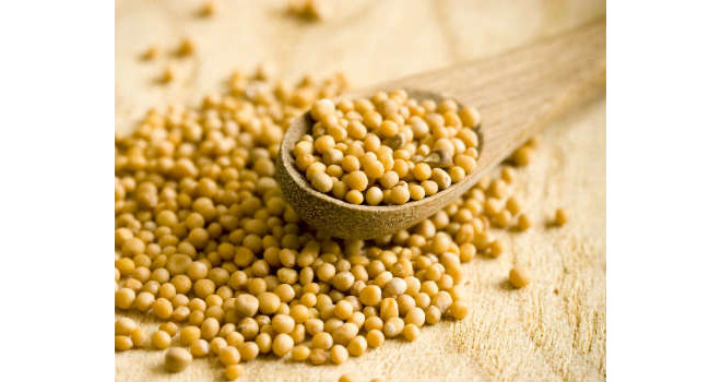 A Verdade Sobre a Mostarda na Dieta Renal